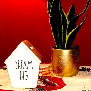 Dream big piggy bank